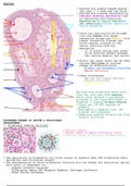 Histology of the Female Reproductive System 