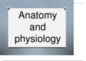 Unit 1 - Principles of anatomy & Physiology in sport (D*) The Skeletal System with types of bones