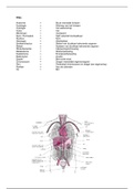 anatomie en fysiologie