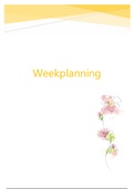 Planning week 