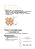 IB Biology (Topic 7. Nucleic Acids)