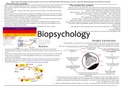 Biopsychology AQA A Level Psychology Mindmaps