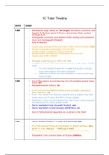 1C Tudor Timeline - 25 page long, very detailed 