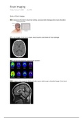 Chapter 3 - Brain Imaging
