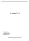 examenverslag Groepswerk SPH (hoofdfase)
