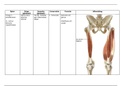 Bundel overzicht spieren, ligamenten, gewrichten en botstukken Thema 3, 4 en 5 HOK Thim van der Laan