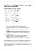 Taak 3B De ontwikkeling van het brein van conceptie tot de jonge volwassenheid - GGZ2021: Kinder- en Jeugdpsychopathologie