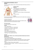 Human anatomy and physiology 