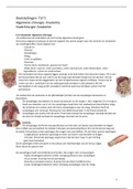 TLP 5: Anatomie Algemene chirurgie & Vaatchirurgie