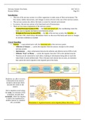 SBI4U Grade 12 Biology Ontario Curriculum Nervous System Notes