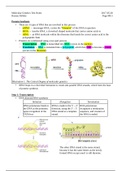 SBI4U Grade 12 Biology Ontario Curriculum Molecular Genetics System Notes
