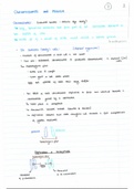 Chromosomes and Meiosis