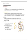 Lec 7 & 8: Protein Structure and Function