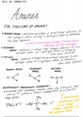 Chemistry AQA A-level - CH13 Amines - (Year 2) A2 A4 NOTES