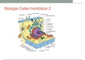 samenvatting biologie cellen (h2)