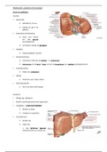 Anatomie heelkunde