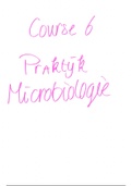 Praktijk microbiologie BM6