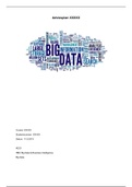 Moduleopdracht Big Data Analytics (Cijfer 7,5)