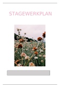 Stagewerkplan