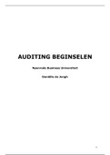 Samenvatting auditing beginselen 2018