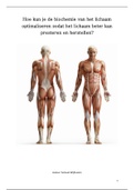Profielwerkstuk spierontwikkeling, hoe kun je de biochemie van het lichaam optimaliseren zodat de spieren beter kunnen herstellen en presteren? 