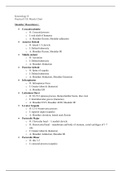 Kinesiology - Upper Extremity Muscle Origin, Insertion, and Action Study Guide