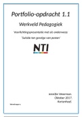 Portfolio 1.1 Werkveld pedagogiek beoordeeld met een 6,6 