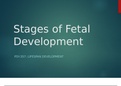 Grand Canyon University:PSY 357 Topic 2 Stages of Fetal Development Presentation 1&2 Complete Solutions
