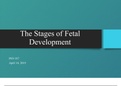 Grand Canyon University:PSY 357 Topic 2 Presentation, Stages of Fetal Development;(06 Slides with References)