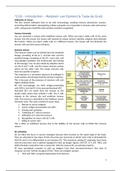 Lecture notes Tumor Immunology (VU)