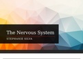 The Nervous System - Overview