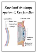 Lacrimal Apparatus and Conjunctiva