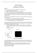 Hoorcollege/samenvatting H11 - Het motorische systeem