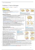 3.6 Neuropsychologie Probleem 2 - Taal en Geheugen