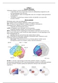 Blok 3.6 Neuropsychologie - College 3 (2020)