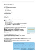 Natuurkunde hoofdstuk 12 krachten 