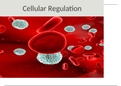NR 324 Module 6 Cellular Regulation Presentation Exam COMPLETE SOLUTION;Chamberlain College Of Nursing 