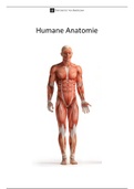 Bundel Humane Anatomie