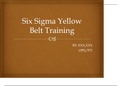 OPS 571 Week 3 Team Assignment, Six Sigma Yellow Belt Training (Panera Bread Co.)