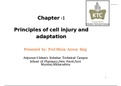 CELL INJURY 
