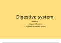 Unit 11 - Sports Nutrition - Digestive system - Assignment 1, part 3