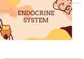 Endocrine System- Description, Function, Trivia