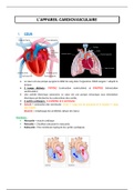 Appareil cardiovasculaire