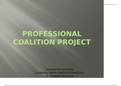 NR 504 Week 7 Assignment; Professional Coalition Project