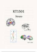 KT1501 - Neuro