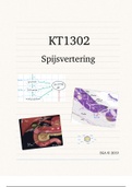KT1302 - Spijsvertering