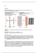 Samenvatting 8TB10 Structuur & functie van gewrichten | Structure and function of joints 2019