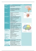 Overzicht hersengebieden en functies 