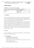 Informe 1. Separación de una mezcla de sólidos.pdf