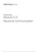 OCR A Level Biology - Module 5.3 - Neuronal Communication Notes